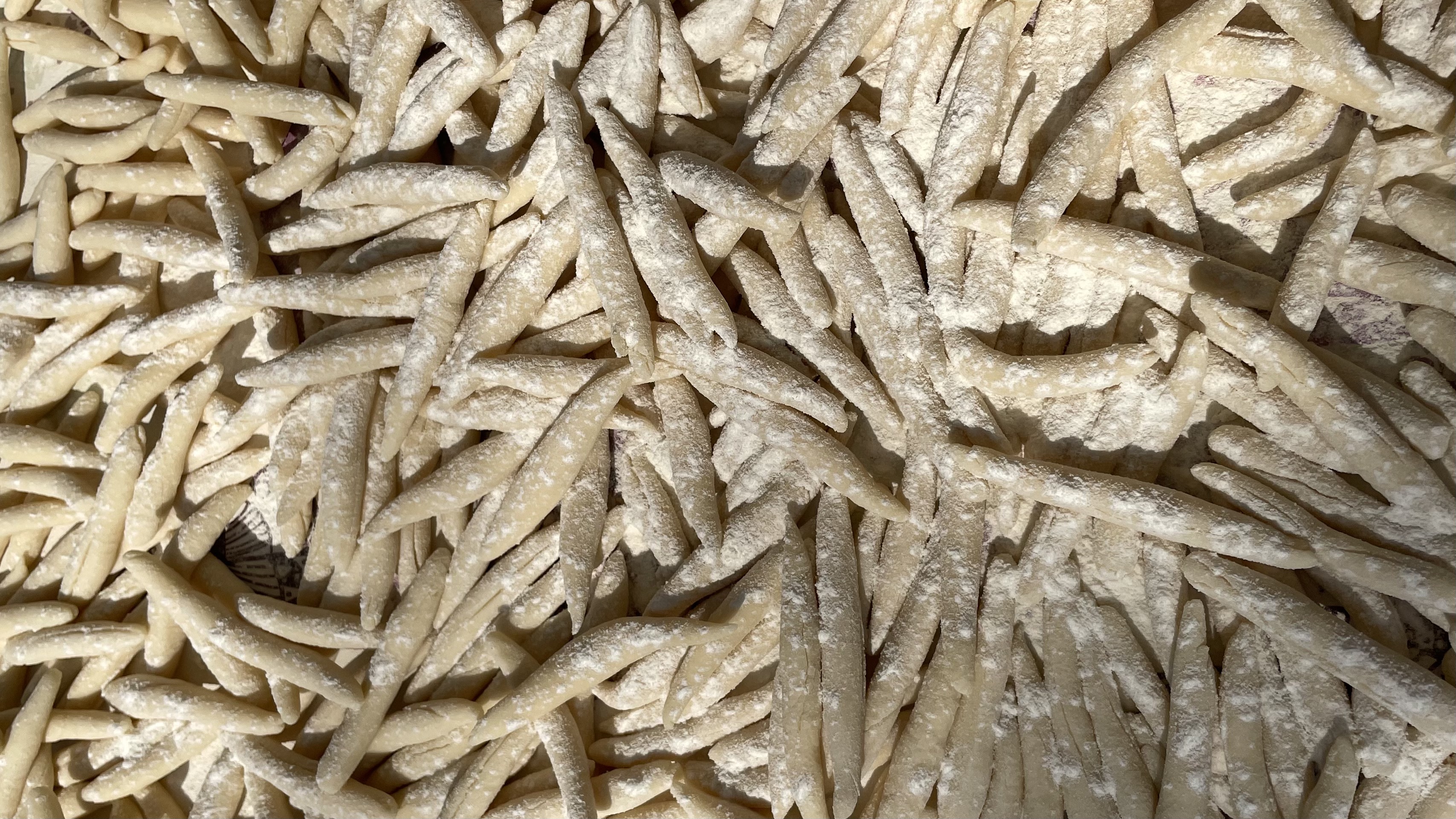 lorem ipsum dolor sit